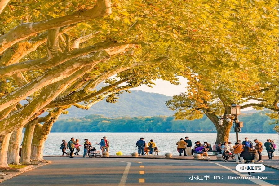 Tour Thượng Hải - Hàng Châu - Tây Ô Trấn (6N5Đ)