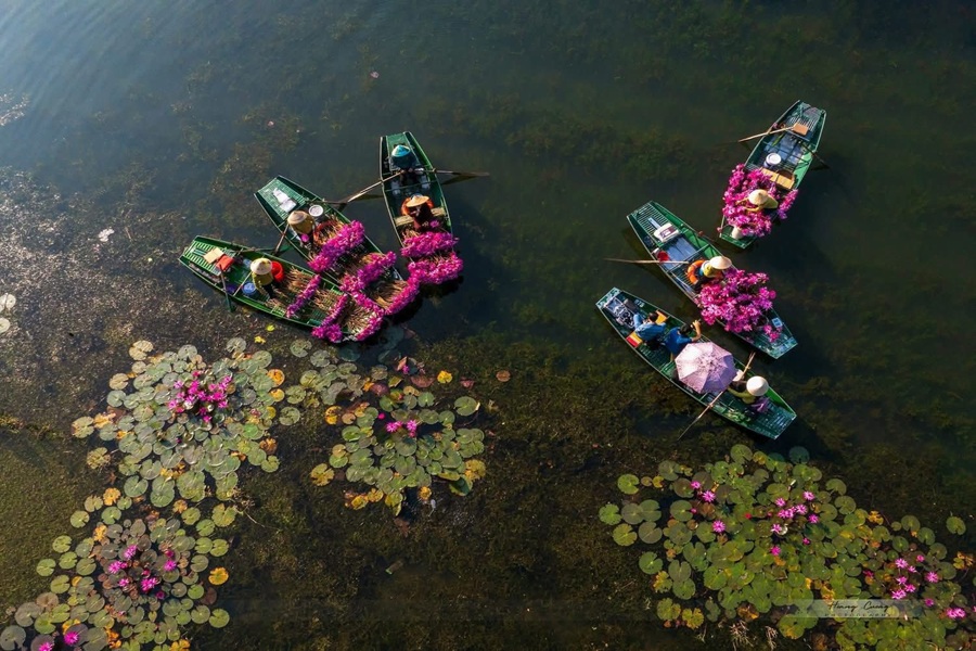 Tour Ninh Bình: Hoa Lư - Tam Cốc - Hang Múa từ Hà Nội