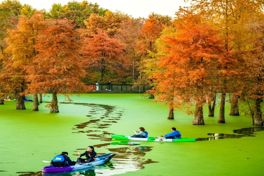 Tour Thượng Hải - Hàng Châu - Bộc Viện - Hoành Thôn (5N4Đ)
