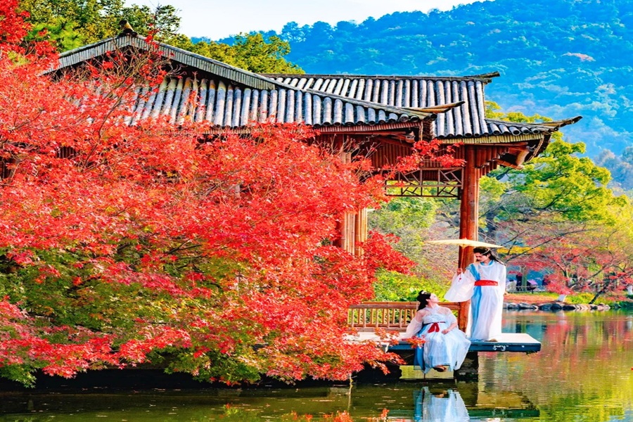 Tour Thượng Hải - Hàng Châu - Tây Ô Trấn (6N5Đ)