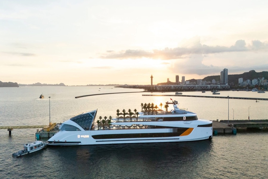 Combo Du thuyền Dolphin Cruise + Khách sạn À La Carte Hạ Long