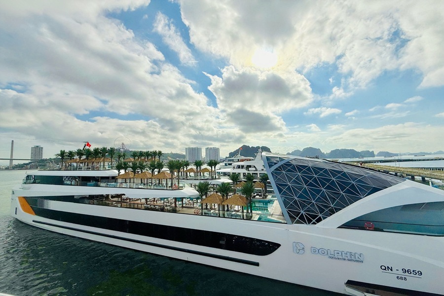 Combo Du thuyền Dolphin Cruise  + Khách sạn Intercontinetal Hạ Long