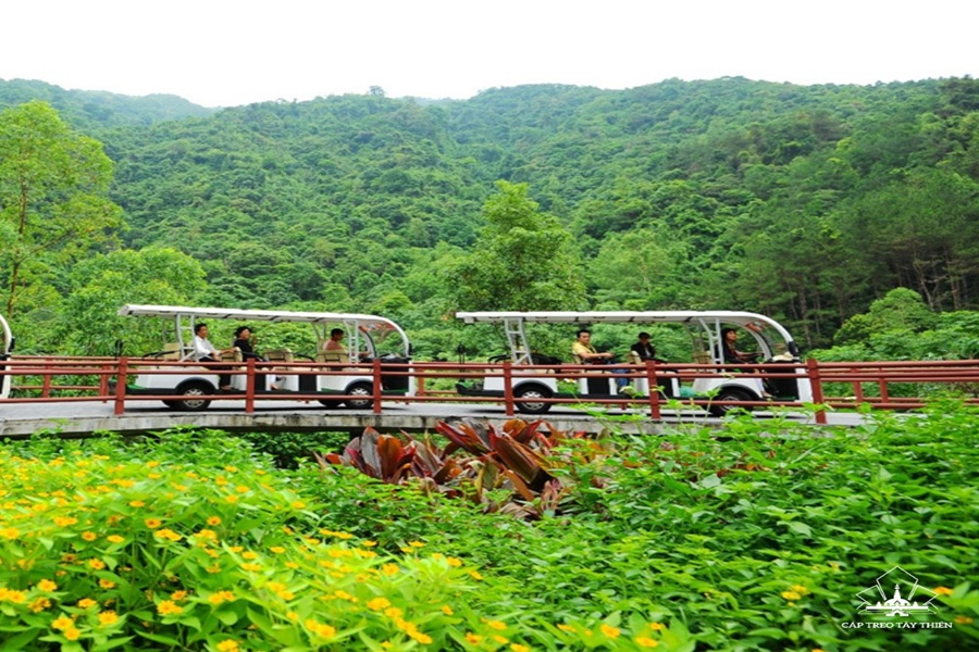 Khám phá Tây Thiên - Tam Đảo (1 ngày)