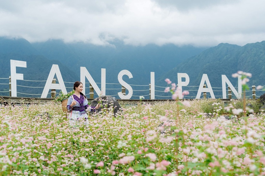 Tour khám phá Miền Bắc 5N4Đ - Hà Nội - Cát Bà - Ninh Bình - Sapa