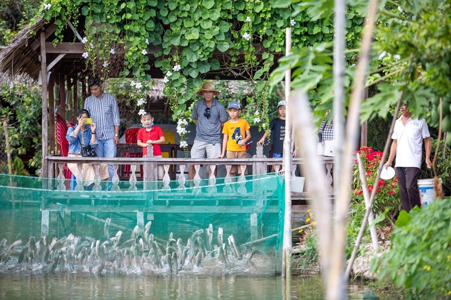 HÀ NỘI – CẦN THƠ – SÓC TRĂNG – BẠC LIÊU CÀ MAU – ĐẤT MŨI – TIỀN GIANG – BẾN TRE -TÂY NINH – SÀI GÒN (5N4Đ)