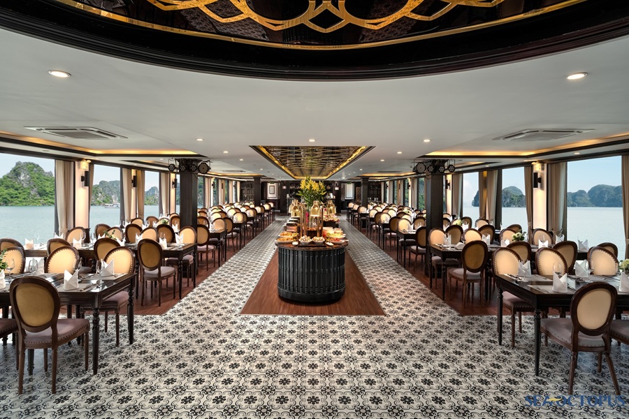 Tour vịnh Hạ Long 1 ngày: Tàu 5 sao + Đón - trả Hà Nội/Hải Phòng