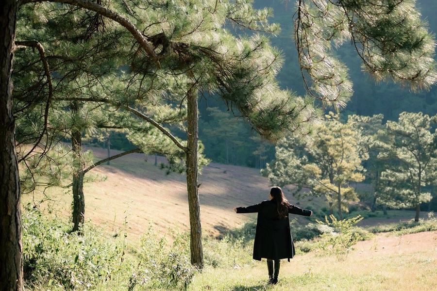 HÀ NỘI - ĐÀ LẠT - NHA TRANG 4N3Đ