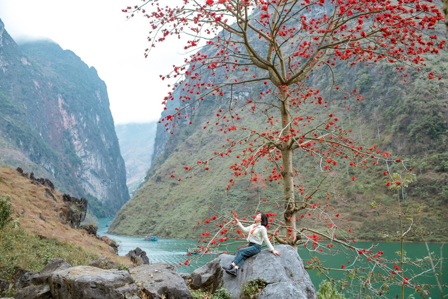 Tết ÂL 2026 Đông Bắc số 1 (Hà Giang - Cao Bằng - Bắc Cạn) 5N4D