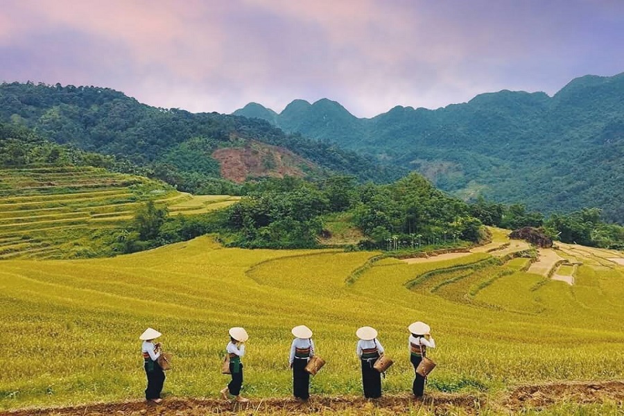 Khám phá thung lũng Mai Châu ( 1 ngày)