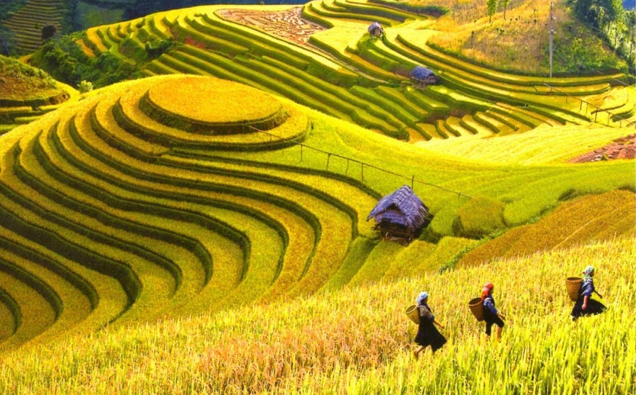 Du lịch Tây Bắc HÀ NỘI - MỘC CHÂU - MƯỜNG PHĂNG - ĐIỆN BIÊN (3N2Đ)