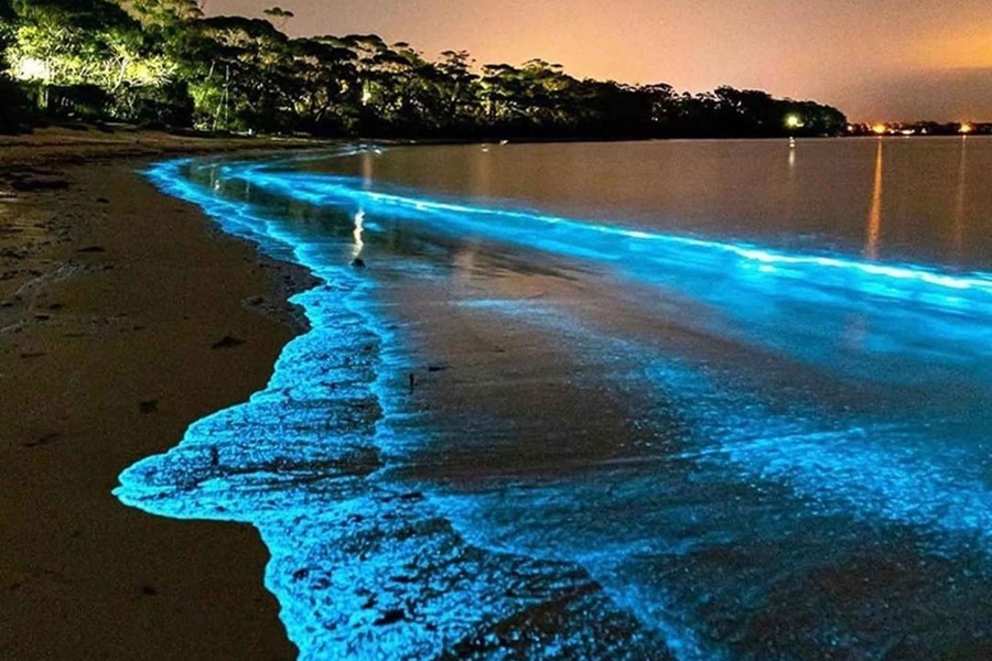 Tour Chèo Kayak Ngắm Lân Tinh - Ăn Tối Trên Vịnh Lan Hạ