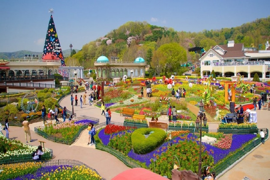 Tour Hà Nội – Seoul – Nami – Everland – Công Viên Yeouido – Rừng Seoul  (5N4Đ) Mùa  hoa Anh đào