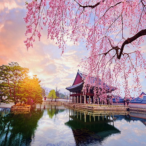 Kinh nghiệm du lịch Hàn