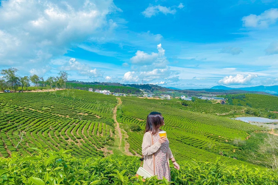 Tour Đà Lạt - Nha Trang - Đà Lạt (3N2Đ)