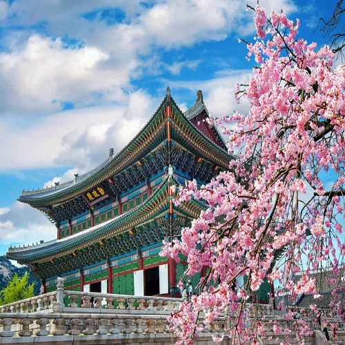 Kinh nghiệm du lịch Hàn
