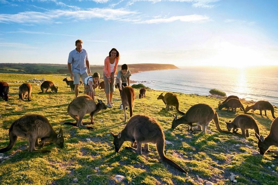 Tour Úc Sydney  - Melbourne (7N6Đ) Xứ sở chuột túi