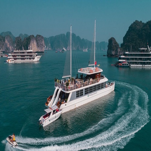 Du thuyền Catamaran