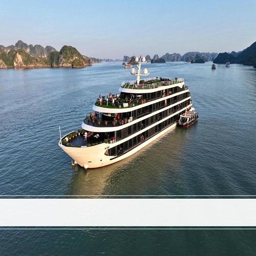 Du Thuyền 5 sao Venus Cruise