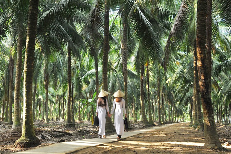 HÀ NỘI – CẦN THƠ – SÓC TRĂNG – BẠC LIÊU CÀ MAU – ĐẤT MŨI – TIỀN GIANG – BẾN TRE -TÂY NINH – SÀI GÒN (5N4Đ)