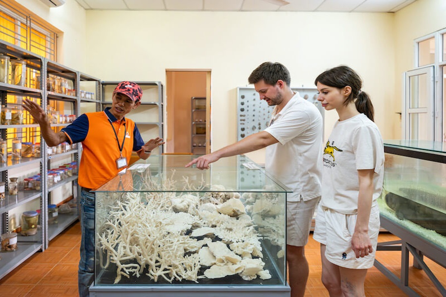 Tour Hạ Long - Cát Bà 1 ngày khởi hành từ Hà Nội và Hải Phòng