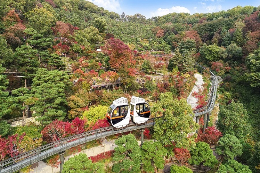Tour Hà Nội – Seoul – Nami – Everland – Công Viên Yeouido – Rừng Seoul  (5N4Đ) Mùa  hoa Anh đào