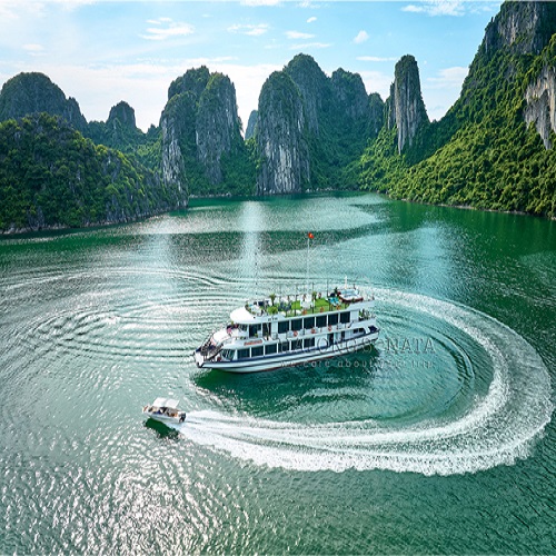 Tàu sắt 3 tầng Sonata cruise (99 khách)