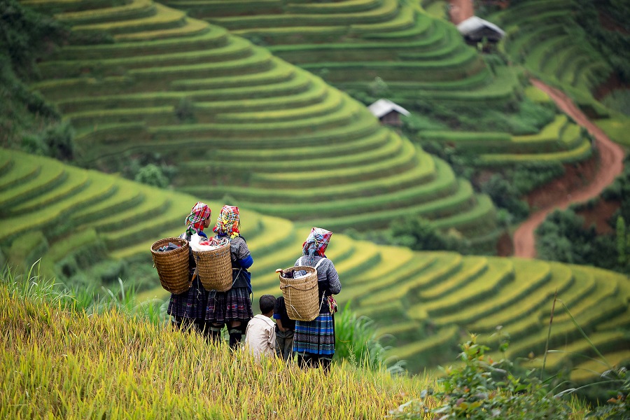 Tour Vòng cung Tây Bắc số 2 (4N4Đ)