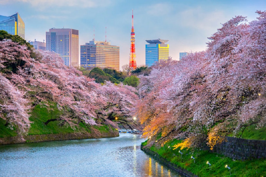 Tour Hà Nội – Tokyo – Hokkaido – Noribetsu – Sapporo – Otaru (6N5Đ)