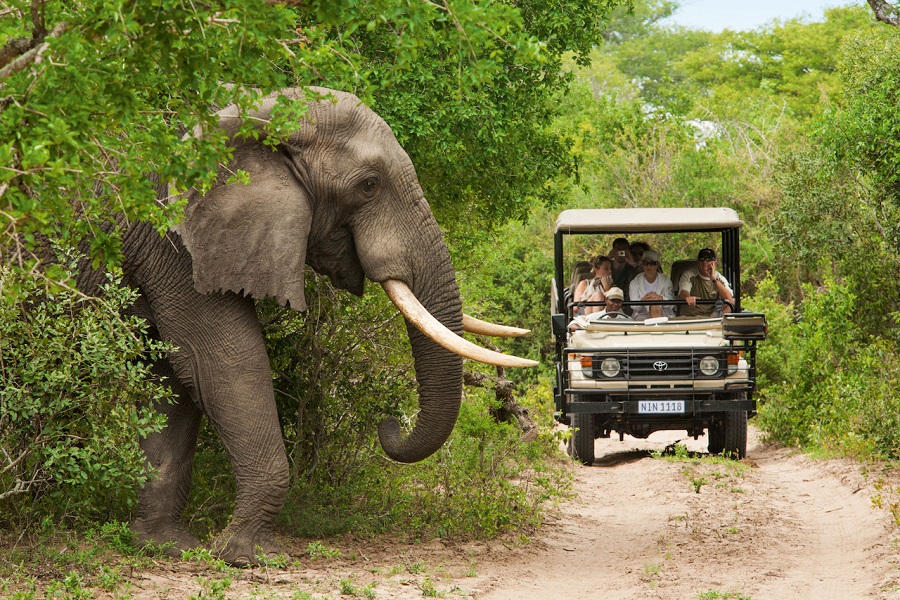 Tour du lịch Nam Phi - Vùng đất cầu vồng (9N8Đ)