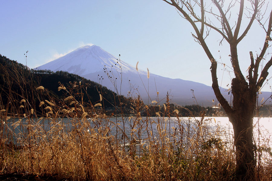 Tokyo - Kawaguchi - Núi Phú Sỹ - Kamaruka - Ibaraki - Tokyo