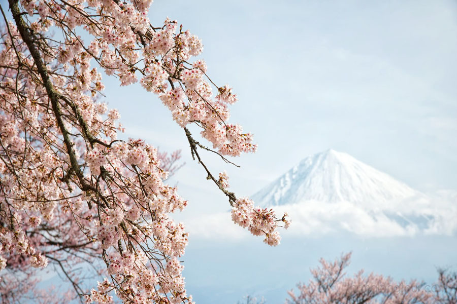 Tokyo - Kawaguchi - Núi Phú Sỹ - Kamaruka - Ibaraki - Tokyo