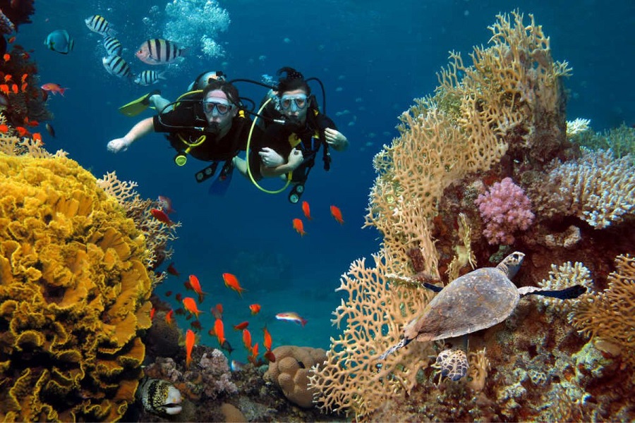Tour Đà Lạt - Nha Trang (7N6Đ)