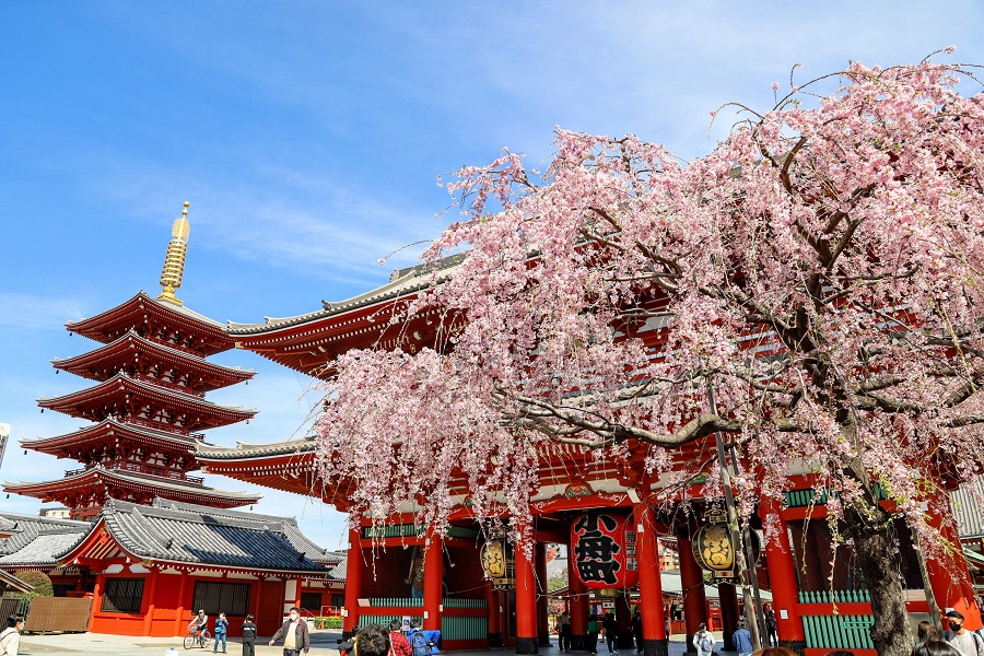 Khám phá Tokyo – Núi Phú Sĩ – Nagoya – Kyoto – Osaka (5N6Đ) Lễ 30/4