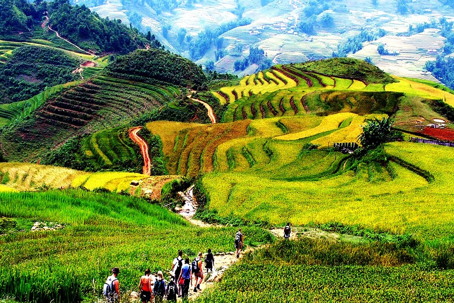 Tour Sapa - Moana - Fansipan - Cát Cát - Tham quan Hà Khẩu (3N2Đ)