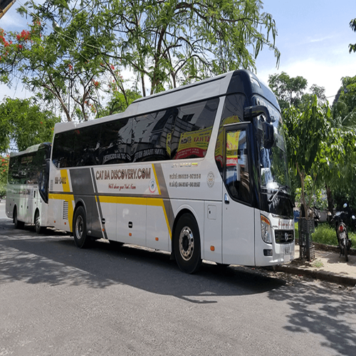 Xe Hà Nội - Cát Bà khứ hồi chất lượng cao