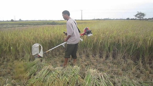 Máy Gặt Lúa Cầm Tay