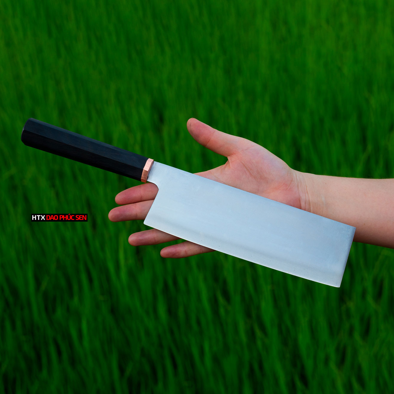 Dao thái được rèn từ thép trắng cao cấp