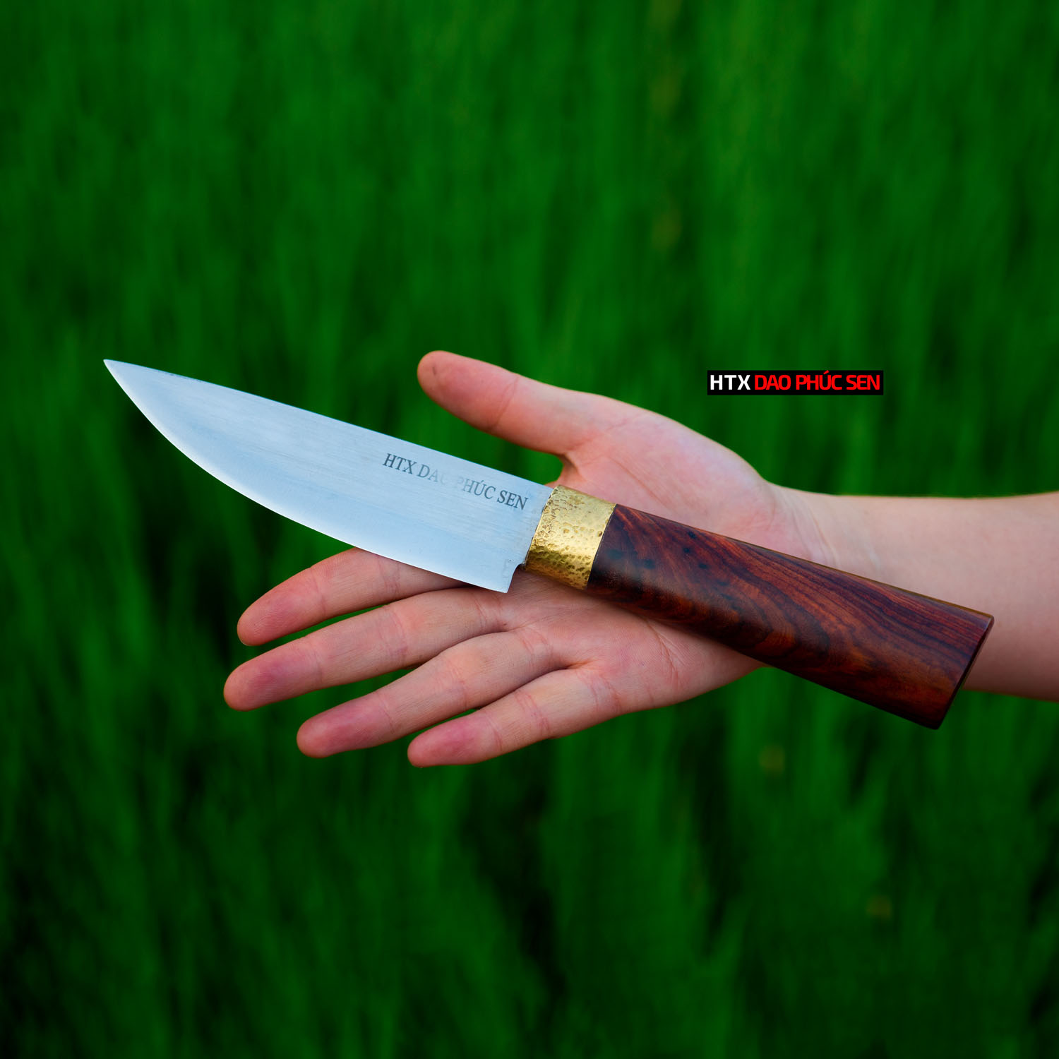 Dao lọc thịt DL09