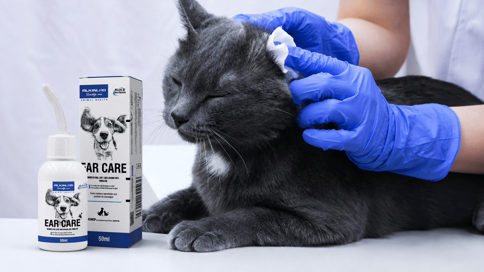 Alkin Ear Care được sử dụng khi vệ sinh tai cho mèo