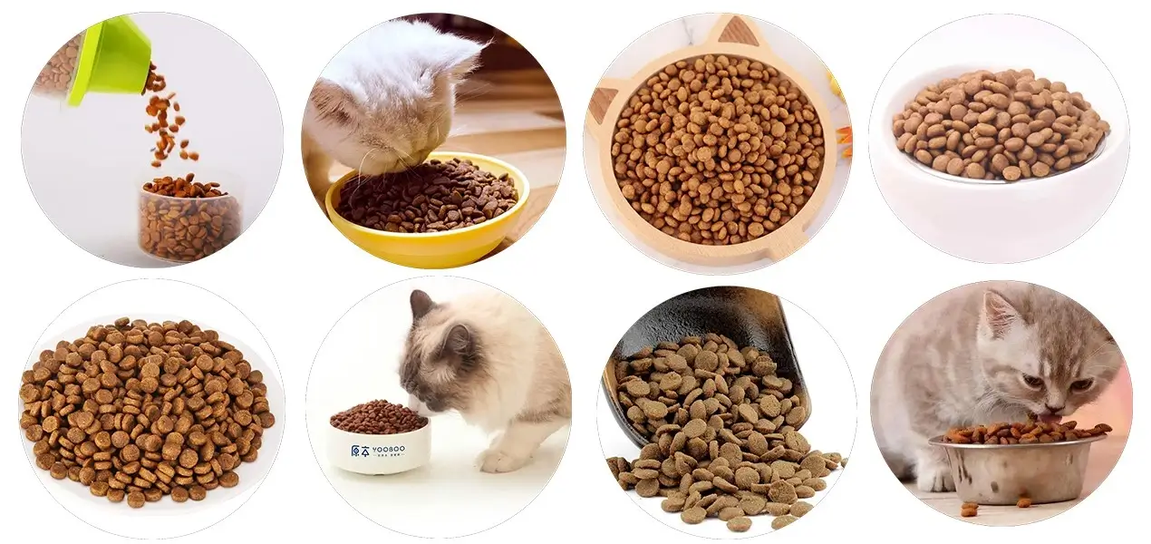Hạt cần phù hợp giai đoạn sống, kích thước miệng và vai trò dinh dưỡng của mèo.