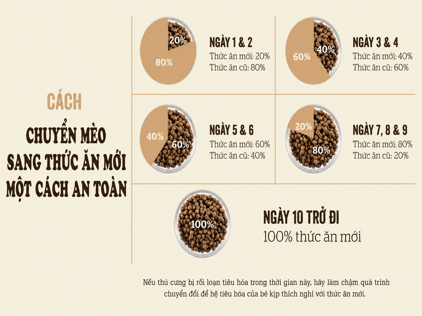 Chuyển đổi từ từ giúp mèo làm quen với mùi và kết cấu mới mà không phải bỏ hẳn thức ăn cũ.
