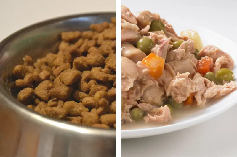 Phần hạt và pate của chó được đong riêng để tính trong cùng khẩu phần ngày.