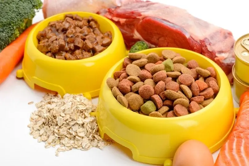 Pate và hạt được chia thành các bữa riêng để theo dõi lượng ăn.