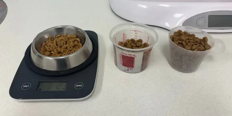 Đo lượng topping giúp kiểm soát năng lượng và tránh thêm liên tục khi mèo bỏ hạt.