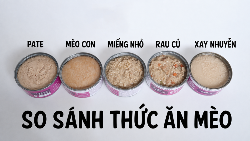 Các dạng thức ăn ướt cho mèo