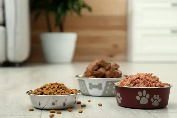Pate bổ sung được dùng như topping bên cạnh bữa chính hoàn chỉnh.