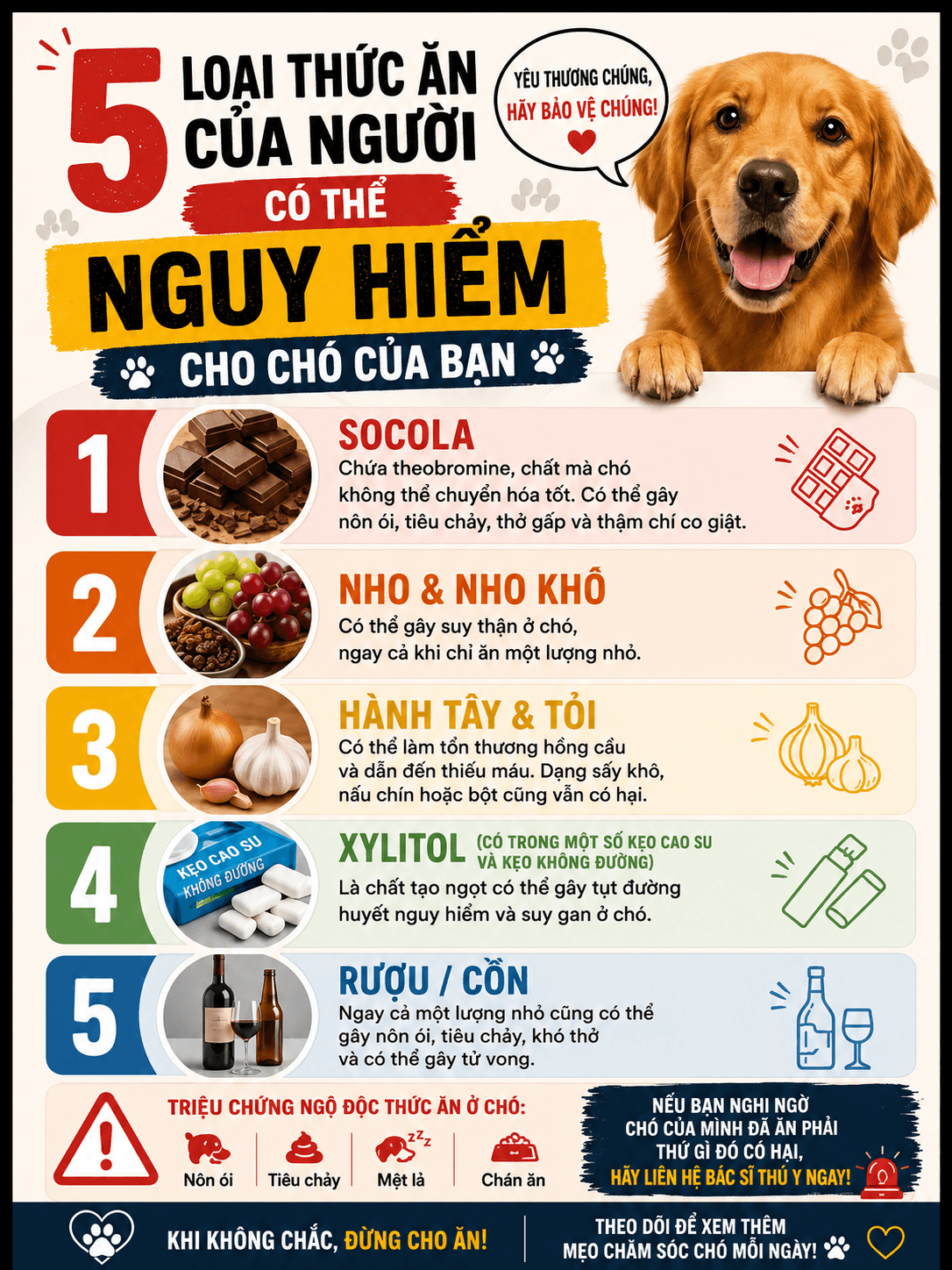 Các món có socola, nho khô, hành tỏi hoặc xylitol không nên được dùng để thử cho chó ăn.