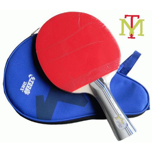 Vợt bóng bàn DHS 202