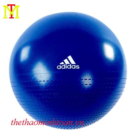 Bóng tập thể dục Adidas ADBL 12248