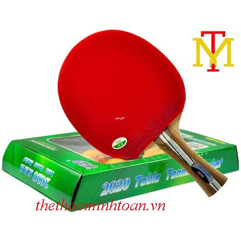 Vợt bóng bàn 729 2020
